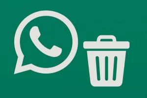 Apagou algo importante no WhatsApp